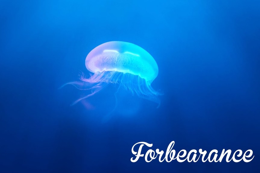 Image result for THE FRUIT OF FORBEARANCE"