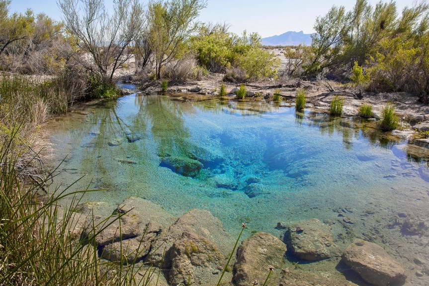 Image result for THE SPRING IN THE DESERT"