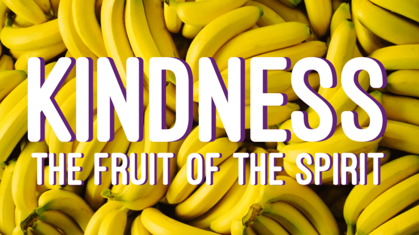 Image result for THE FRUIT OF KINDNESS"