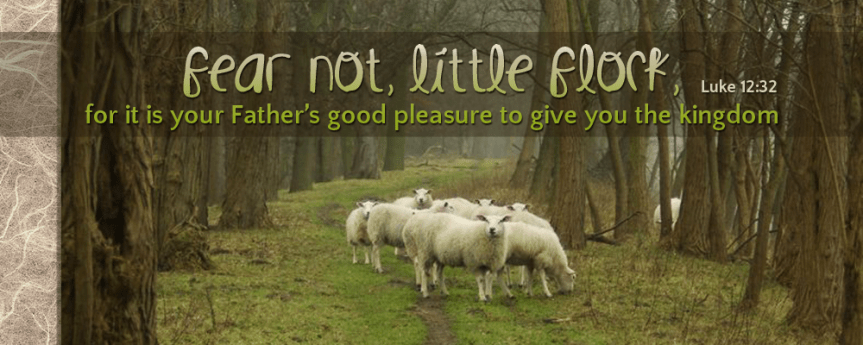 Words to Ponder... Fear not, little flock — LCEF
