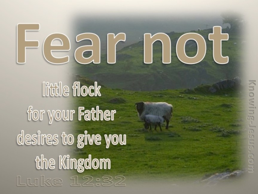 FEAR NOT LITTLE&nbsp;FLOCK