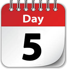 THE POWER OF&nbsp;GRATITUDE